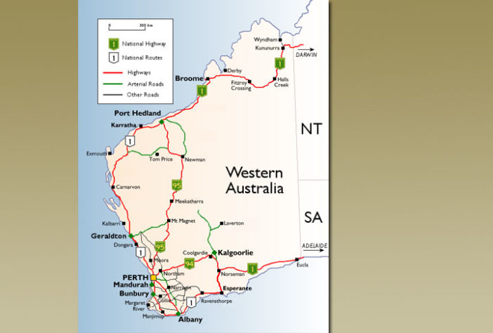 Emus na Austrália