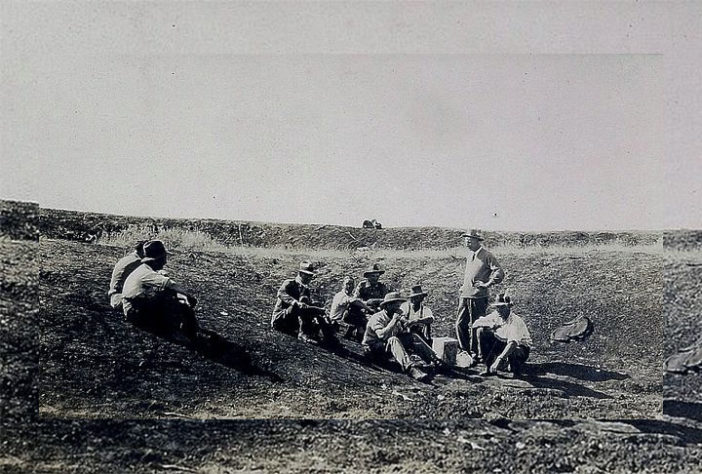Emus na Austrália