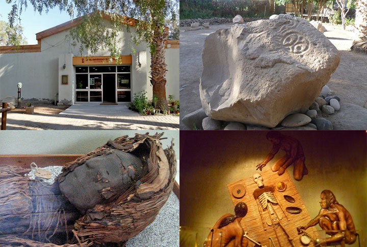 A rica história cultural da cidade é bem retratada pelo Museu San Miguel de Azapa.  O local comporta mais de 20 mil peças que mostram o desenvolvimento da população divididas em três seções que incluem temáticas sobre a terra e o mar, os homens e a produção agrícola e artesanal, e a crença religiosa. 