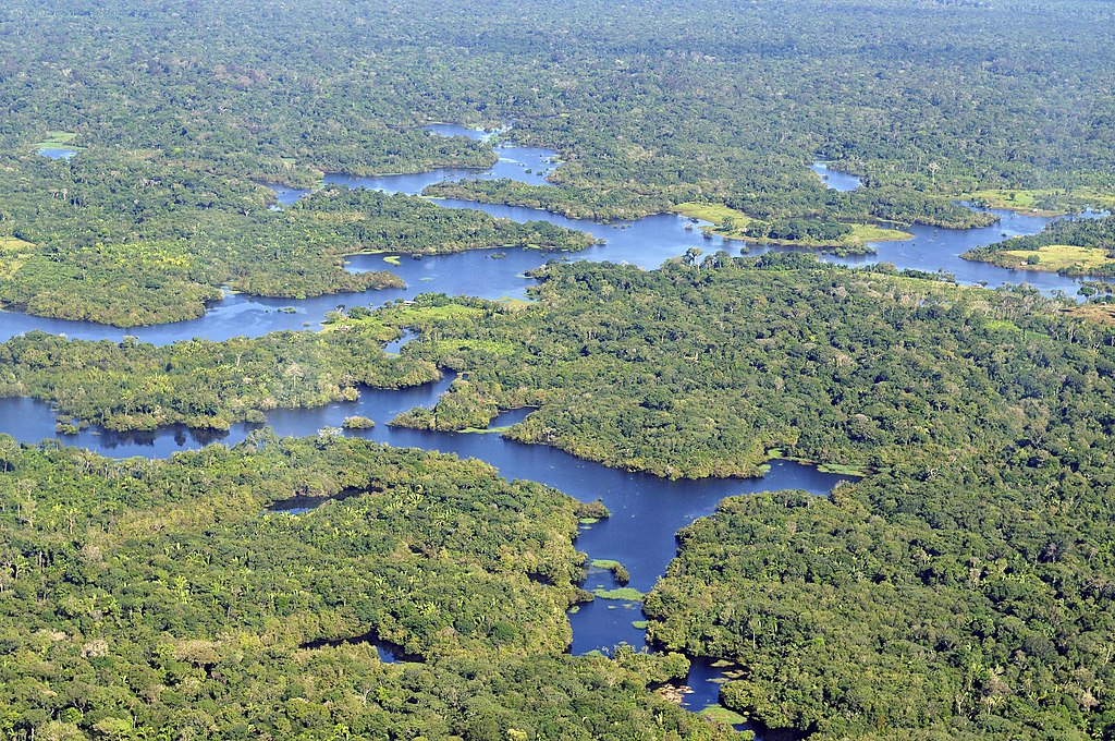 A fronteira entre Brasil e Colômbia é menos urbanizada e mais natural, com grande presença indígena e forte influência dos rios na mobilidade e economia local.

