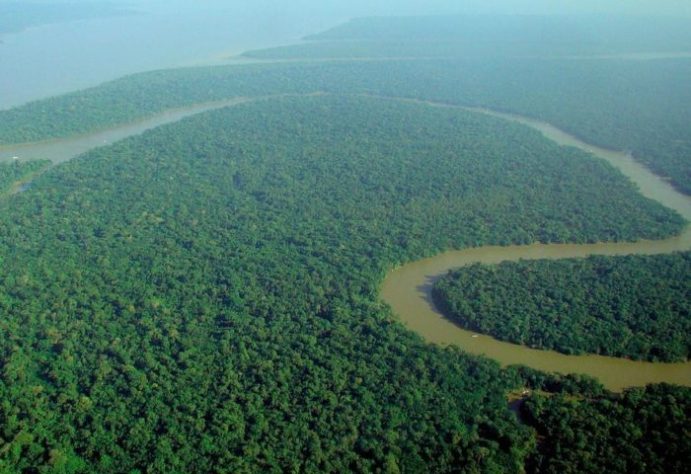 Floresta amazônica