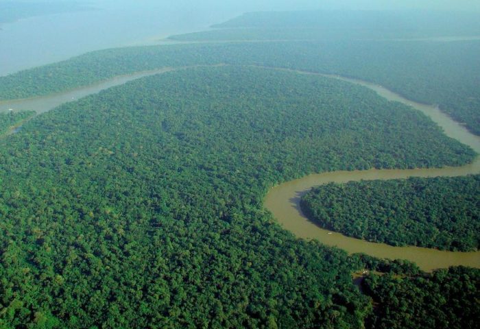 Para historiadores, Fawcett marcou a exploração amazônica: seu legado está menos na possível “Cidade Z” e mais na forma como sua história conectou mito, arqueologia e o imaginário sobre a fronteira desconhecida.