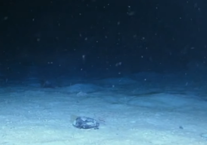 Apesar das conquistas, o fundo do oceano continua sendo um dos lugares mais misteriosos do universo. Segundo dados da Noaa (órgão sediado em Washington para estudos sobre meio ambiente), apenas 20% do fundo do mar já foram mapeados.