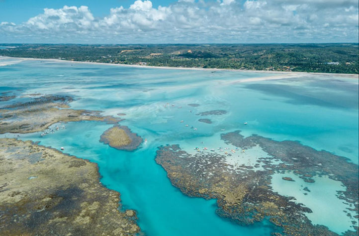 Praia de Maragogi 