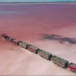 Trem atravessa lago cor de rosa e atrai turistas na Rússia