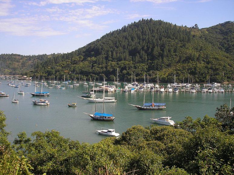 Por tabela, o comprador ainda levou junto uma casa de alto padrão com nove suítes, piscina com área gourmet, três casas para funcionários, fonte de água potável, gerador de energia, heliponto e píer para embarcações.