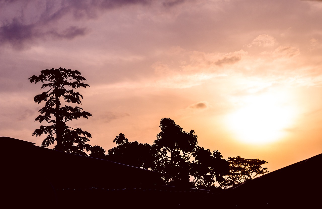 GABÃO - A Linha do Equador também passa pelo Gabão, país com muitas riquezas naturais. Inclusive, 10% do território formam um parque nacional protegido desde 2003. 