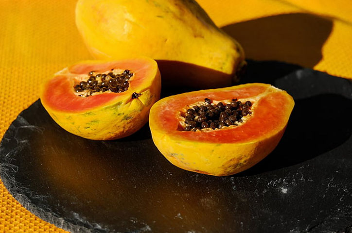 O mamão papaia  fornece uma quantidade maior de fibras do que o formosa, um pouco mais de calorias e antioxidantes. Ele ajuda diretamente no bom funcionamento do intestino, dando equilíbrio nesta questão. 