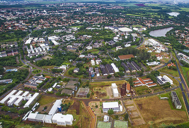 Um estudo da Universidade de Campinas (Unicamp) revelou informações importantes que servem de alerta para o consumo do óleo de coco. -  (crédito: Divulgação UNICAMP)