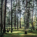 Cemitério Kogskyrkogarden, na Suécia - Túmulos