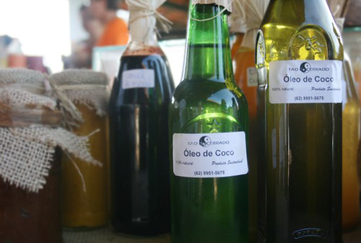 A pesquisa, publicada na revista científica Journal of Functional Foods. mostra que excesso de suplementação com óleo de coco pode prejudicar a ação da leptina e da insulina no organismo. - Flickr Tao Do Cerrado