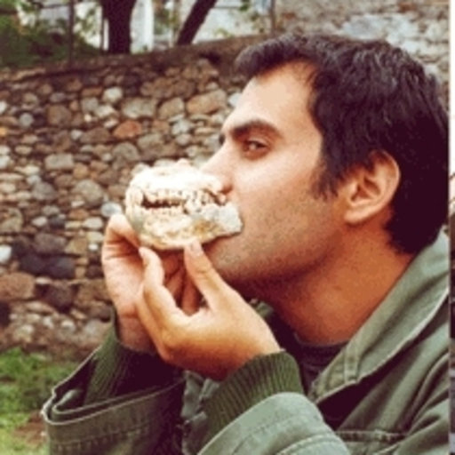 A descoberta dos fósseis foi festejada pelo paleontólogo Giorgos Lyras: "Trata-se de um descobrimento importante, é a primeira vez que uma concentração tão alta de fósseis de hipopótamos anões é encontrada na Grécia", disse.