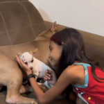 Paçoca - Pinscher