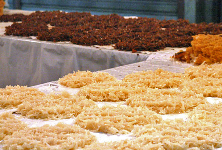 Cocada: Popular em países tropicais, a cocada pode ser feita em casa e costuma ser uma boa fonte de energia. O doce é feito com ingredientes simples, como coco ralado e açúcar, que são cozidos juntos até formarem uma mistura espessa e adocicada. -  Flickr Arthur Neto