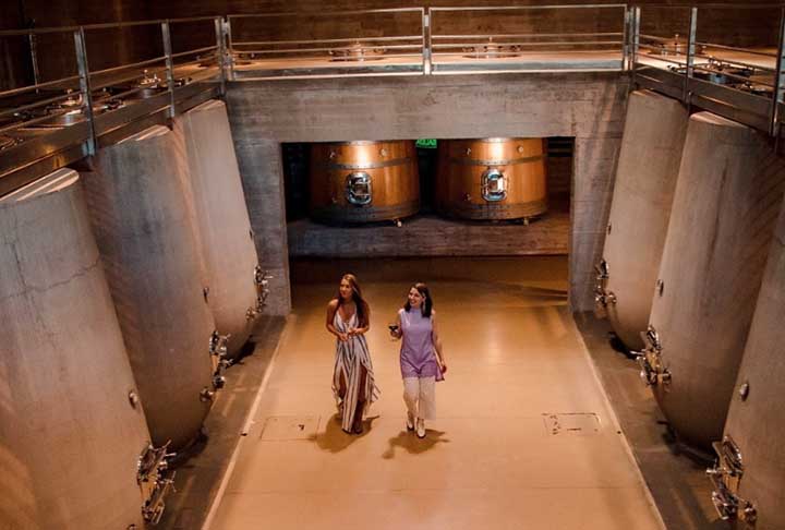 Os vinhos sÃ£o elaborados sob a consultoria de Alberto Antonini, uma das maiores referÃªncias mundiais em produÃ§Ã£o de vinhos da primeira qualidade como Blend, Tannat, AlbariÃ±o, entre outros. Trata-se de um projeto ousado, capaz de impulsionar o Uruguai no mapa mundial do vinho 