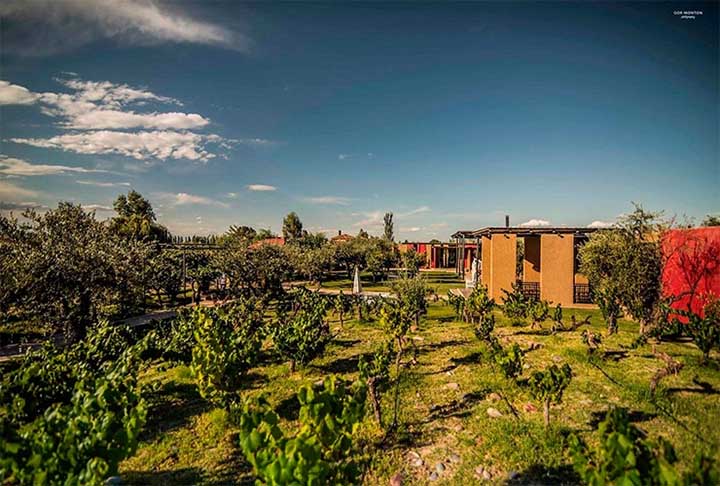 Seu carro-chefe é o Cabernet Franc 'Gran Enemigo', que possui um toque de vinho Malbec. Outro exemplar bastante vendido é o Cabernet Franc 'Gran Enemigo' misturado com Cabernet Sauvignon, Petit Verdot e Merlot. 