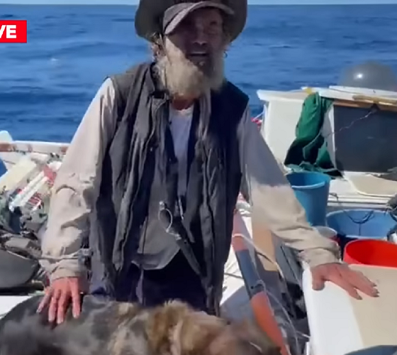 No entanto, uma tempestade danificou o sistema eletrônico do barco, que falhou, deixando o marinheiro e a cadela isolados no meio do oceano.