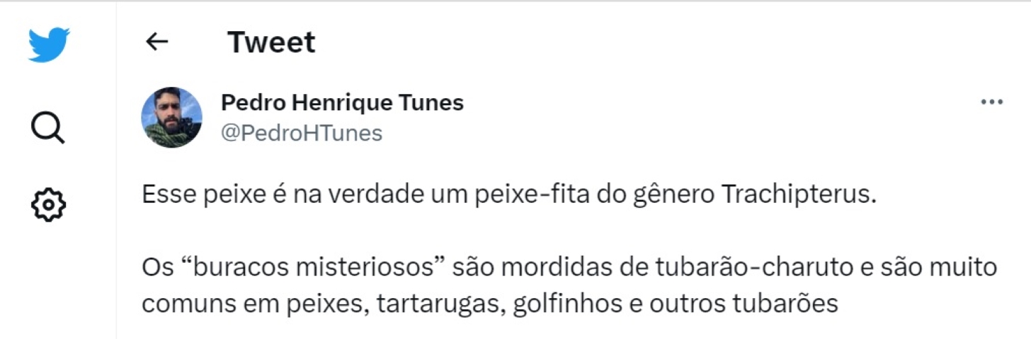 Porém, no Twitter, o biólogo Pedro Henrique Tunes desvendou o "mistério". Trata-se de um peixe-fita, do gênero Trachipterus. 