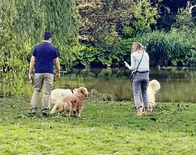 Em seguida aparecem, nesta ordem, SuÃ©cia, Israel, Holanda (foto), Noruega, Luxemburgo, SuÃ­Ã§a e AustrÃ¡lia. 