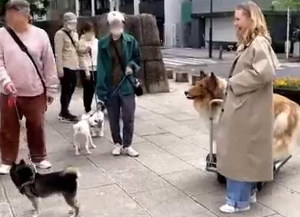 Um dos maiores prazeres do homem-cachorro no passeio pelo parque foi a interação com 