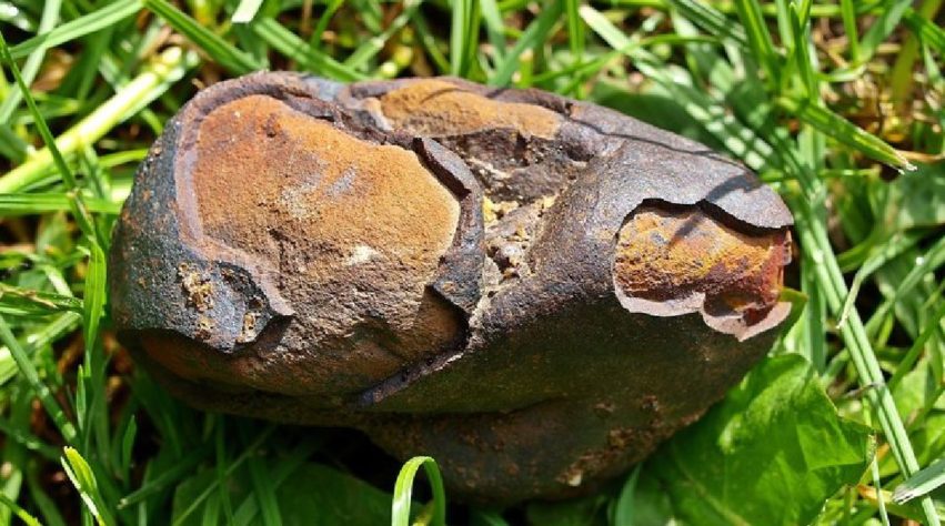 Meteorito