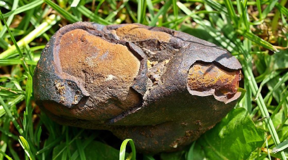 Meteorito é um objeto rochoso originário do espaço, assim como um cometa, asteroide ou meteoroide. Ele passa pela atmosfera e por isso pode atingir a superfície.