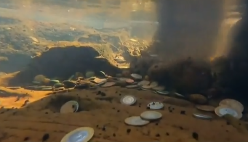 Curiosamente, pessoas costumam jogar moedas nas catararas e de tempos em tempos bombeiros fazem uma retirada. Em junho de 2023, 158 quilos de moedas foram recolhidos nas águas, em áreas rasas. -Reprodução TV Band