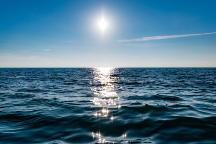 “A exploração e mapeamento do oceano ainda estão no começo, e as potenciais aplicações para a saúde que ele contém são significativas”, destacou Wolpert.