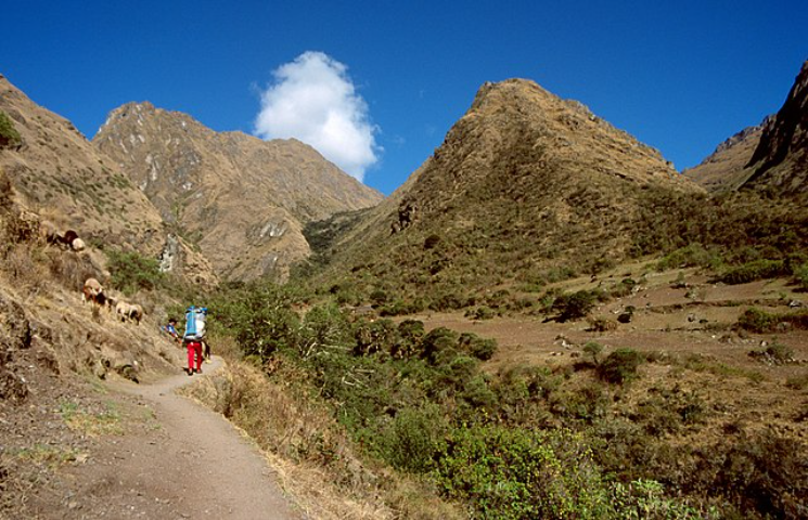 <p>Machu Picchu fica a 2.400 metros de altitude, na Cordilheira dos Andes, no vale do rio Urubamba, no Peru.</p>
