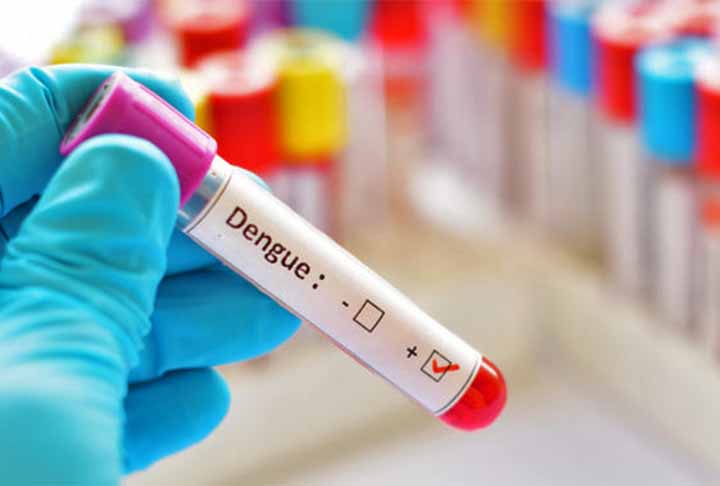 Na ocasião, a equipe de pesquisadores conseguiu introduzir esta bactéria, que foi retirada da mosca-da-fruta, dentro dos ovos de Aedes aegypti. Uma descoberta realizada alguns anos antes, enquanto ele fazia seu pós-doutorado na Austrália.