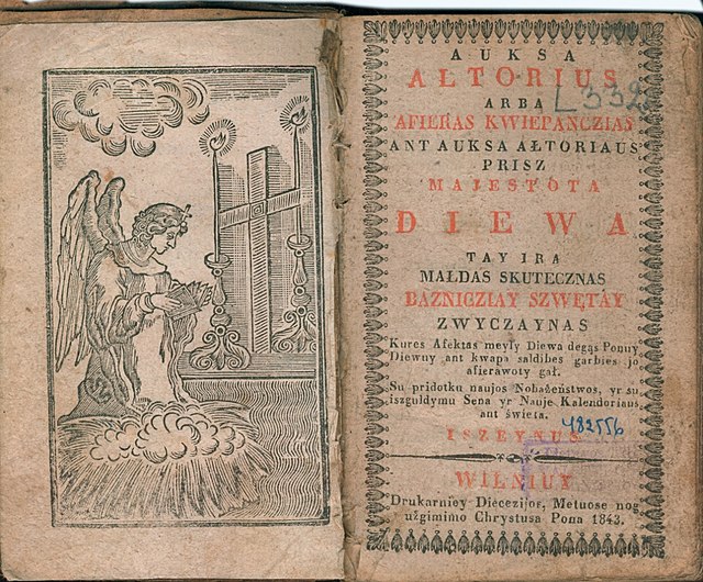 Uma das línguas mais velhas ainda em atividade é o Lituano.  O idioma que preservou mais sons e regras do Proto-Indo-Europeu (PIE), que é a língua que dizem ser falada cerca de 3,5 mil anos a.C. 