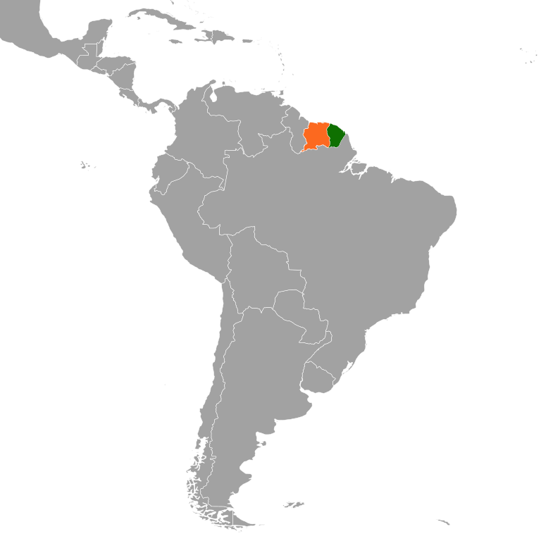 Um relatÃ³rio publicado pelo MinistÃ©rio das RelaÃ§Ãµes Exteriores referente Ã s comunidades brasileiras no exterior revelou que, no ano de 2022, a Guiana Francesa acomodava uma populaÃ§Ã£o de 91.500 cidadÃ£os brasileiros. 