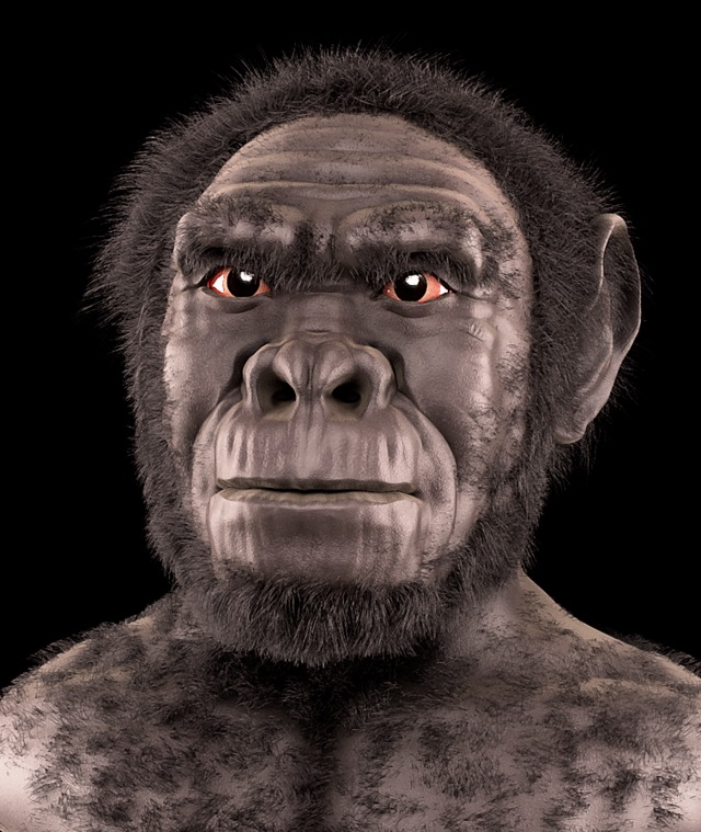 O Homo habilis, primeiro exemplar dos hominídeos, teria surgido há cerca de dois milhões de anos, sendo o primeiro a ser capaz de usar ferramentas, de acordo com o Smithsonian.