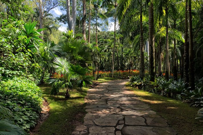Os mais belos jardins espalhados pelo mundo