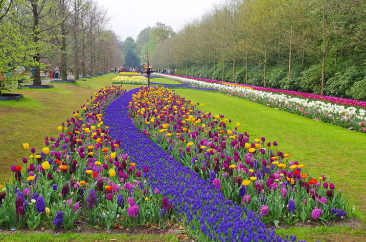 Os mais belos jardins espalhados pelo mundo