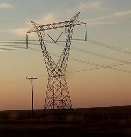 Cidade do Paraná faz estrume de porco virar energia elétrica