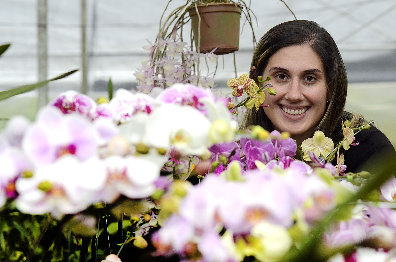 VÁRZEA PAULISTA é a  "Cidade das Orquídeas", por conta do seu orquidário que chama a atenção e é o maior do continente.