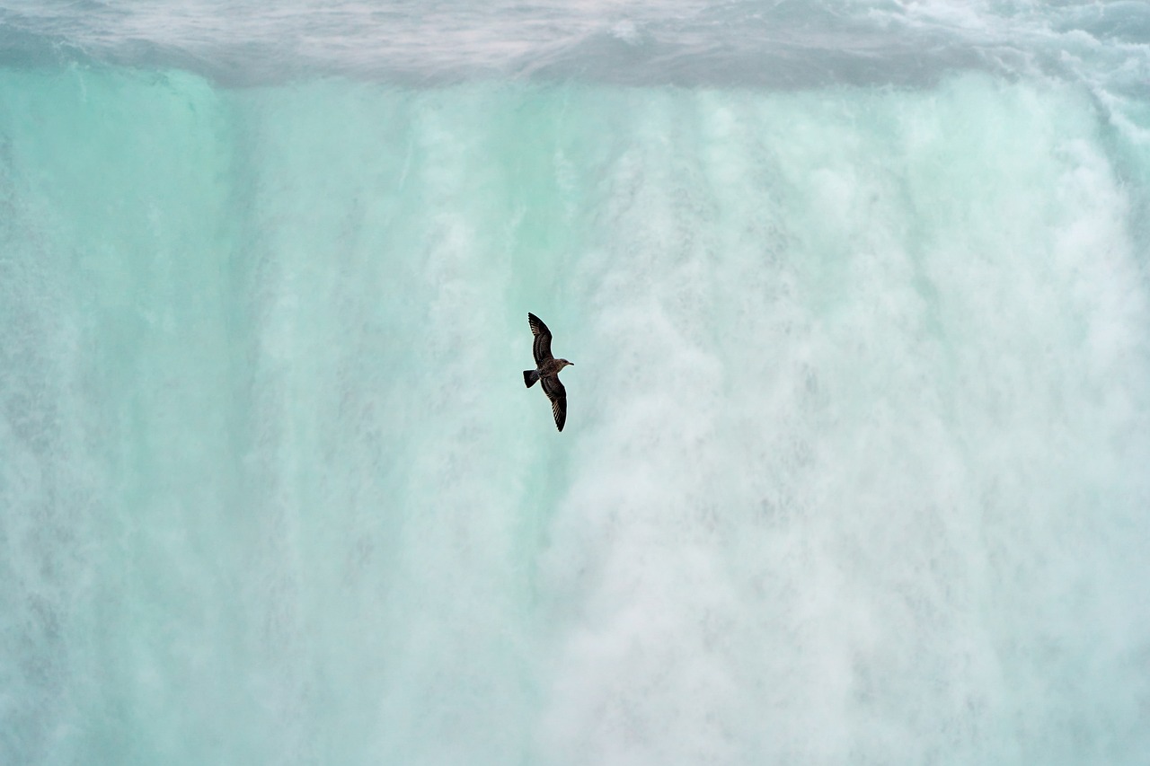 Fora do Brasil, outras cachoeiras e cataratas também entram nas listas dos espetáculos de queda d'água pelo mundo. Veja essas maravilhas naturais.-Imagem de Wolfgang_Hasselmann por Pixabay