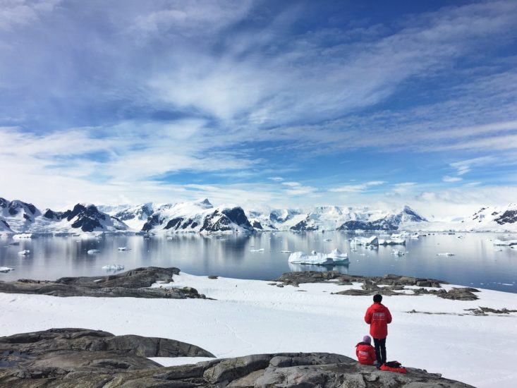 Recentemente, um grupo de cientistas anunciou que várias espécies novas de animais foram descobertas na Antártica. -  (crédito: Cassie Matias Unsplash)