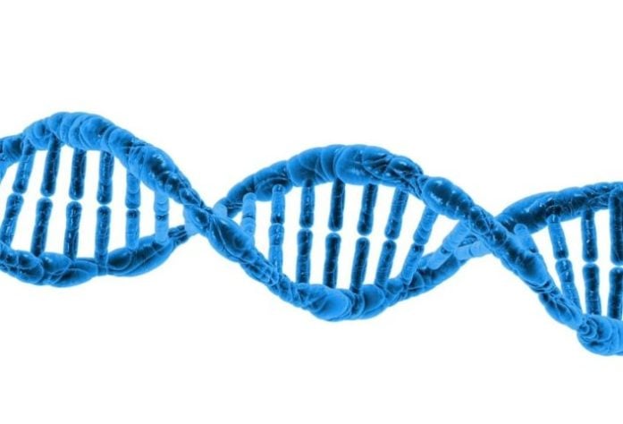 molécula de DNA - PublicDomainPictures/Pixabay