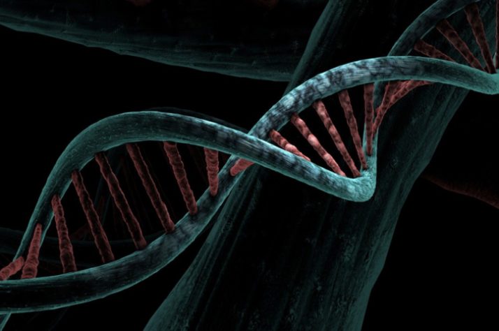 Código genético - DNA
