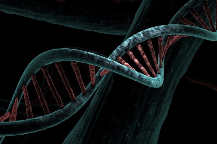 O teste analisa a metilação do DNA, um processo que regula a ativação de genes, para estimar a chamada capacidade intrínseca (CI).