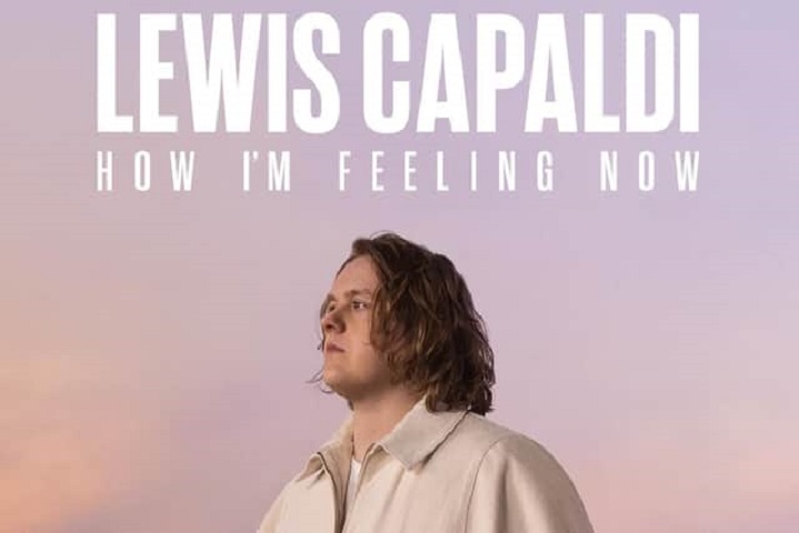 A rotina de uma pessoa com Síndrome de Tourette foi muito bem documentada pelo próprio Lewis Capaldi no documentário 