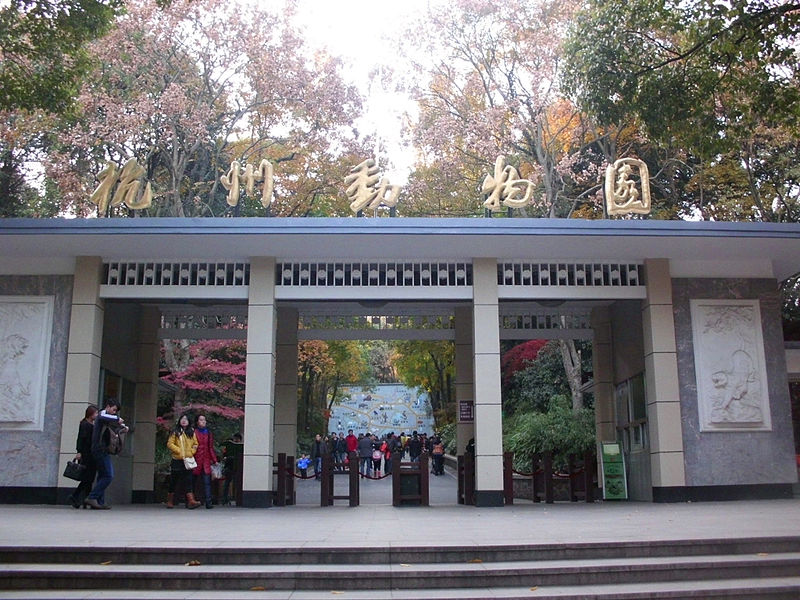 Diante da repercussão, o zoológico de Hangzhou (leste da China) decidiu se pronunciar: "Nossos bichos são reais" A instituição informou que veículos de imprensa poderiam ir ao local para atestar não tratar-se de um urso 'fake'. 
