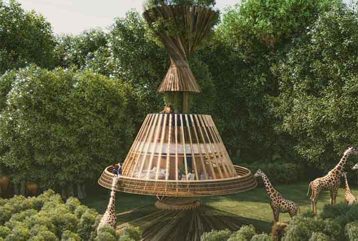O BAOBAB Luxury Safari Resort é considerado o primeiro resort de ecoturismo do mundo. Isso porque ele produz autonomamente sua própria energia verde e água para a comunidade. 