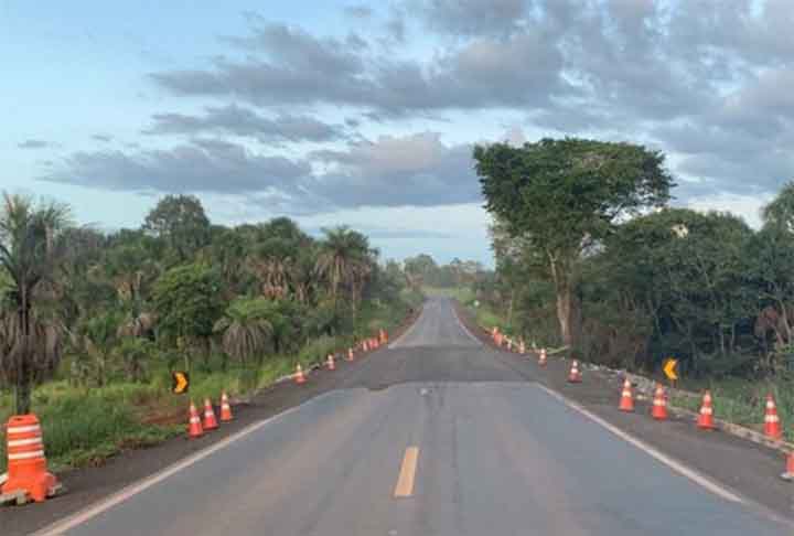 Por sinal, no Brasil é bem comum florestas ficarem próximas de rodovias. E não é raro ver um animal atropelado na pista.  