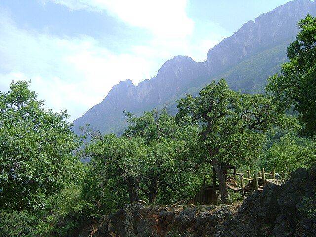 O caso aconteceu no Parque Ecológico Chipinque, em Monterrey, no nordeste do México. 
