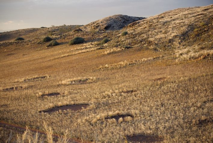 círculos de fadas