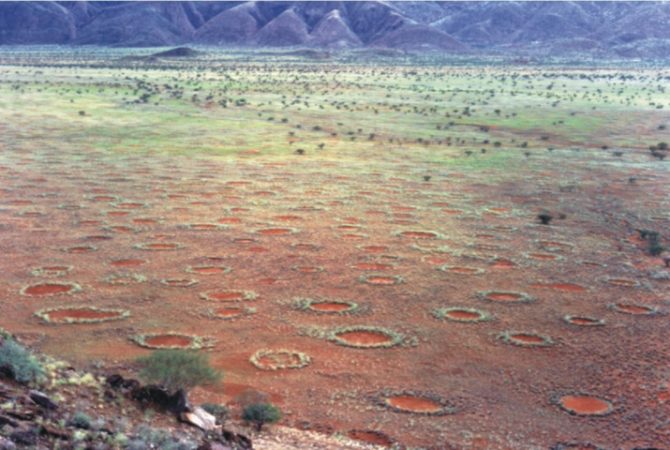 Círculos de fadas: fenômeno misterioso ainda desafia os cientistas