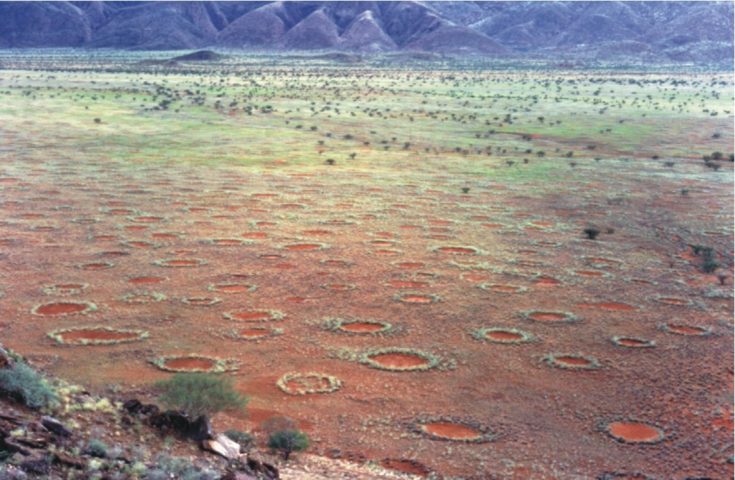 Círculos misteriosos são identificados em mais de 200 locais no mundo - wikimedia commons Stephan Getzin